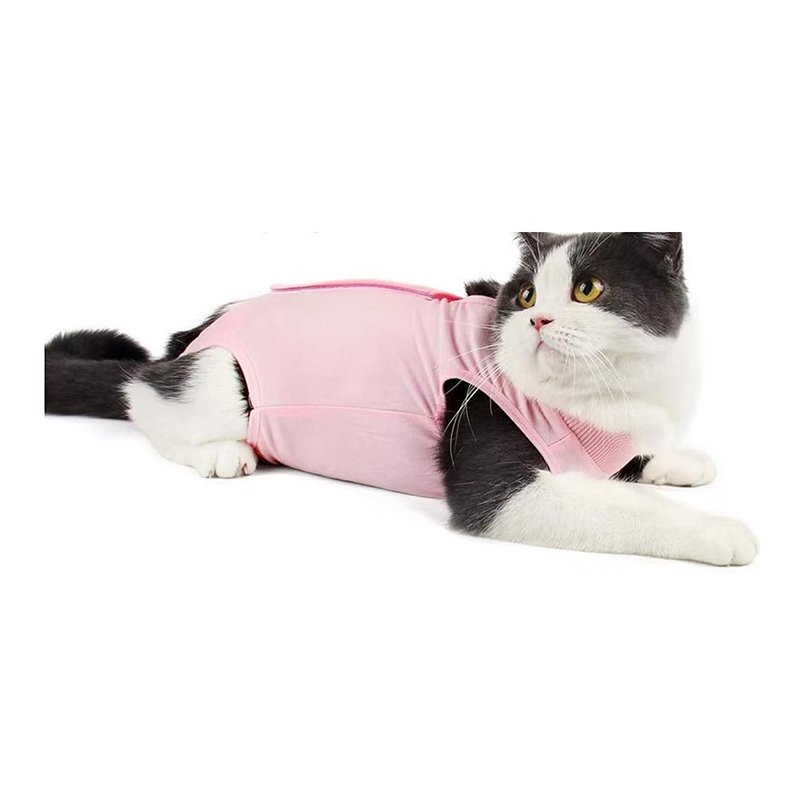 Cat Recovery Suit