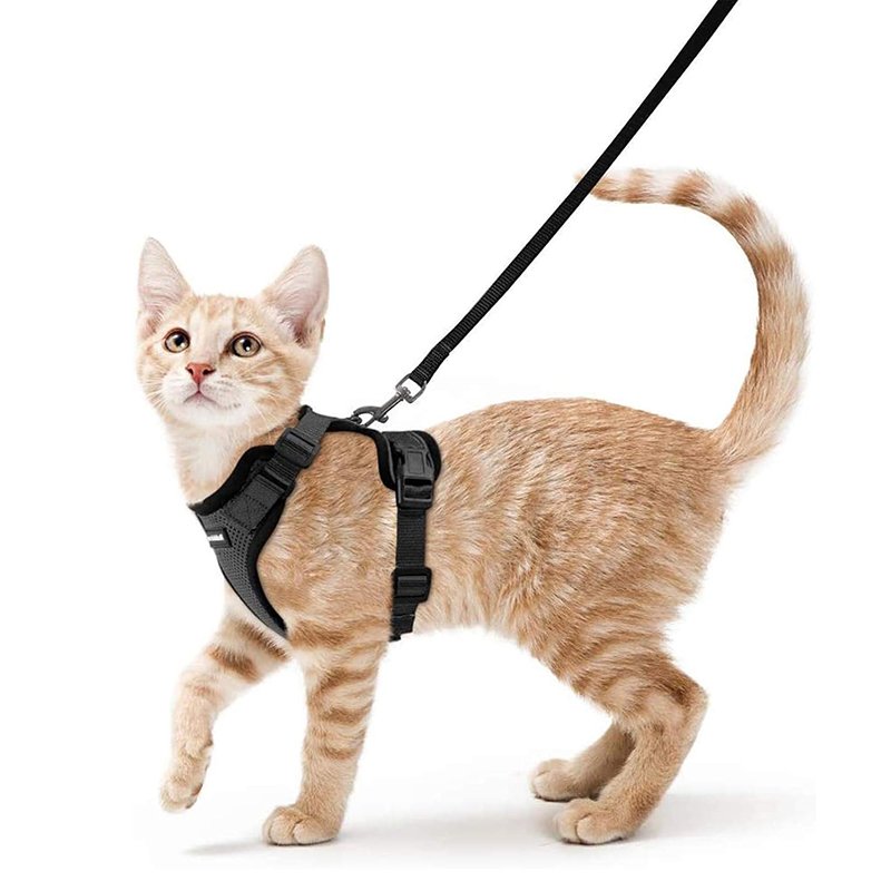 Cat Harness and Leash for Walking