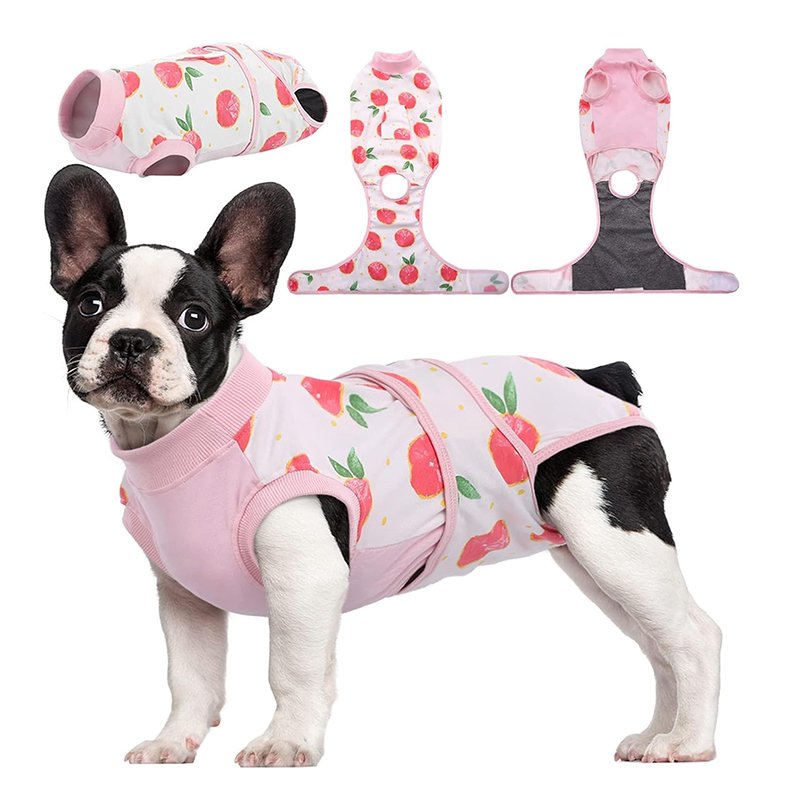 Recovery Suit for Dogs Cats After Surgery