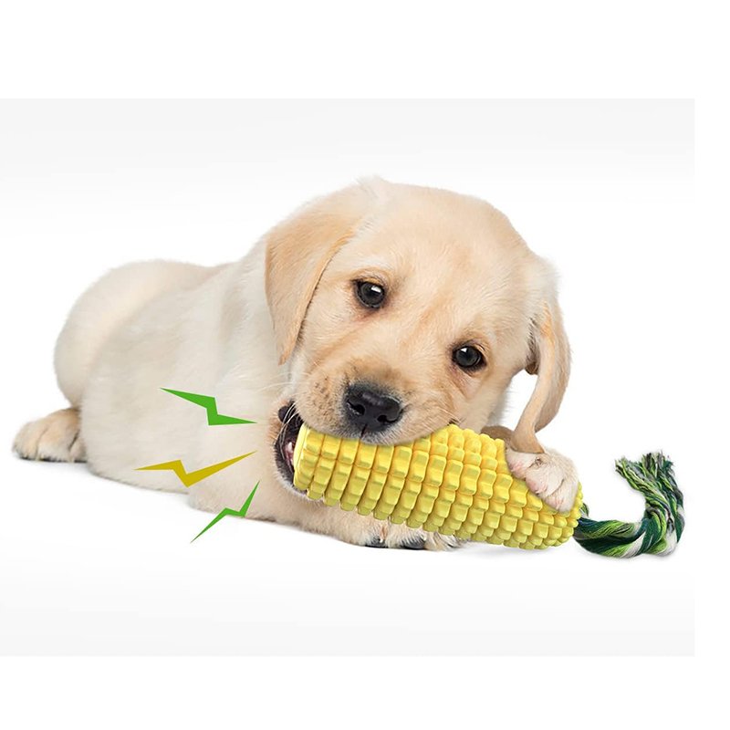 Dog Chew Toys