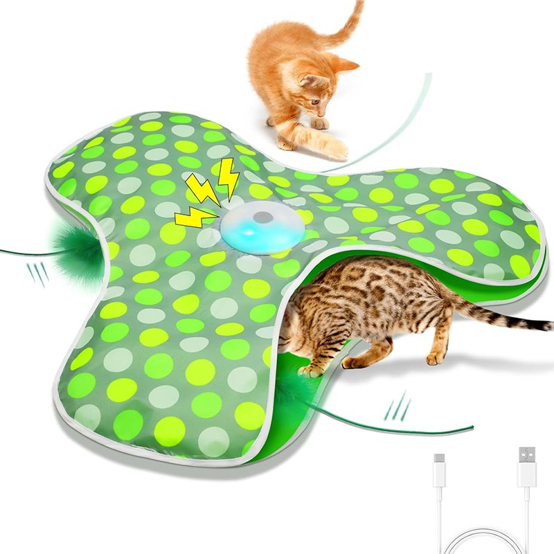 Interactive Cat Toys