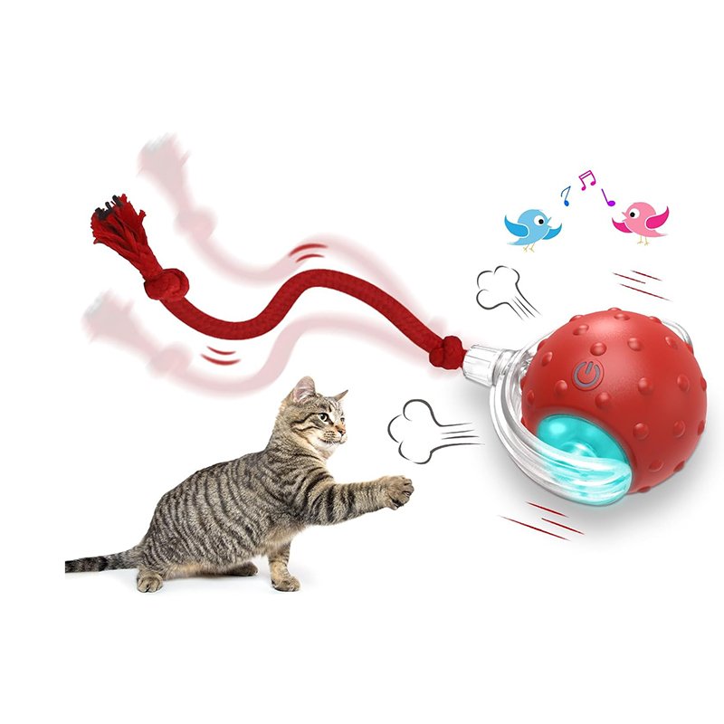 Cat Ball