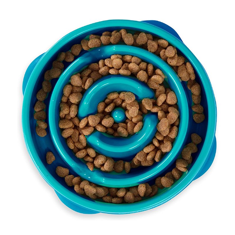 Slow Feeder Dog Bowl