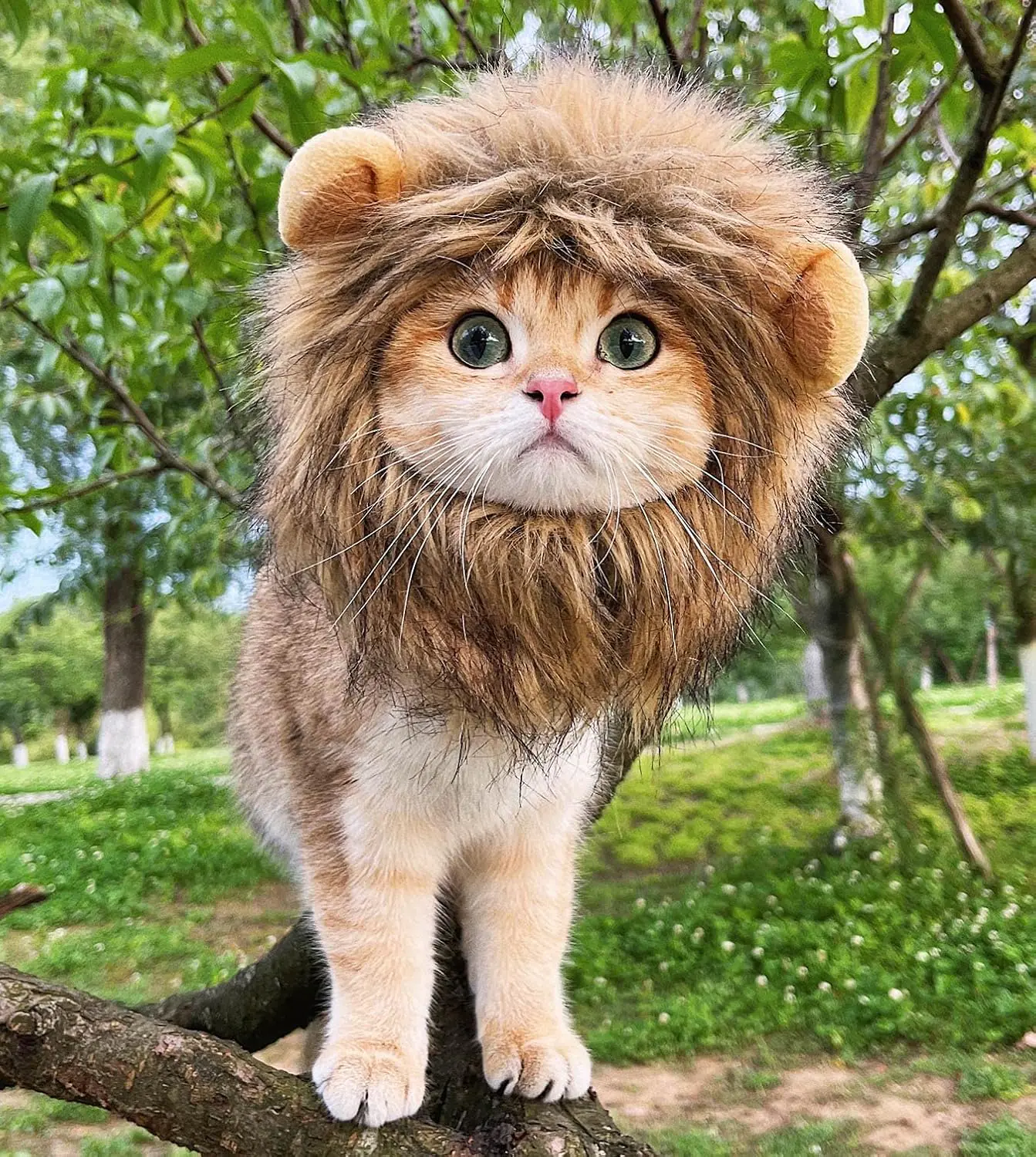 Lion Mane Wig for Cat Costume Pet Adjustable Washable Comfortable Fancy Lion Hair Cat Clothes Dress for Halloween Christmas Easter Festival Party Activity (S,Brown)