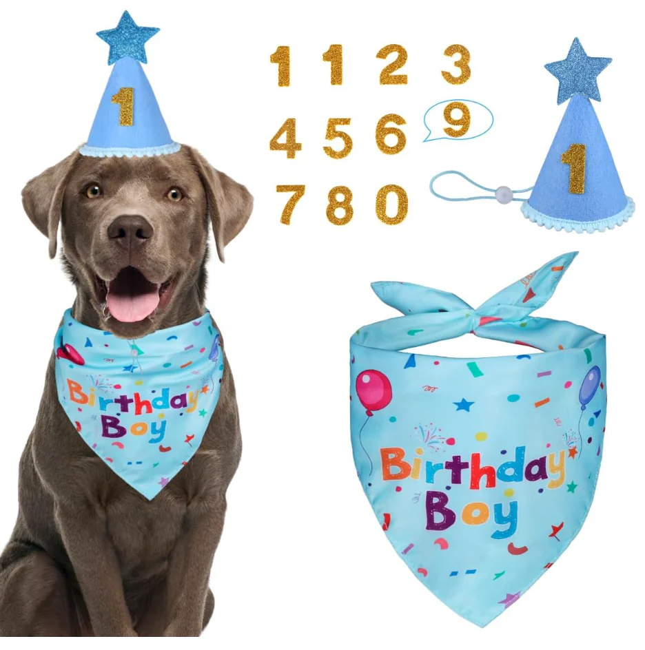 Dog Birthday Party Supplies, Dog Birthday Bandana Set, Dog Boy Girl Birthday Party Hat with Numbers for Large Medium Small Dogs Pet, L