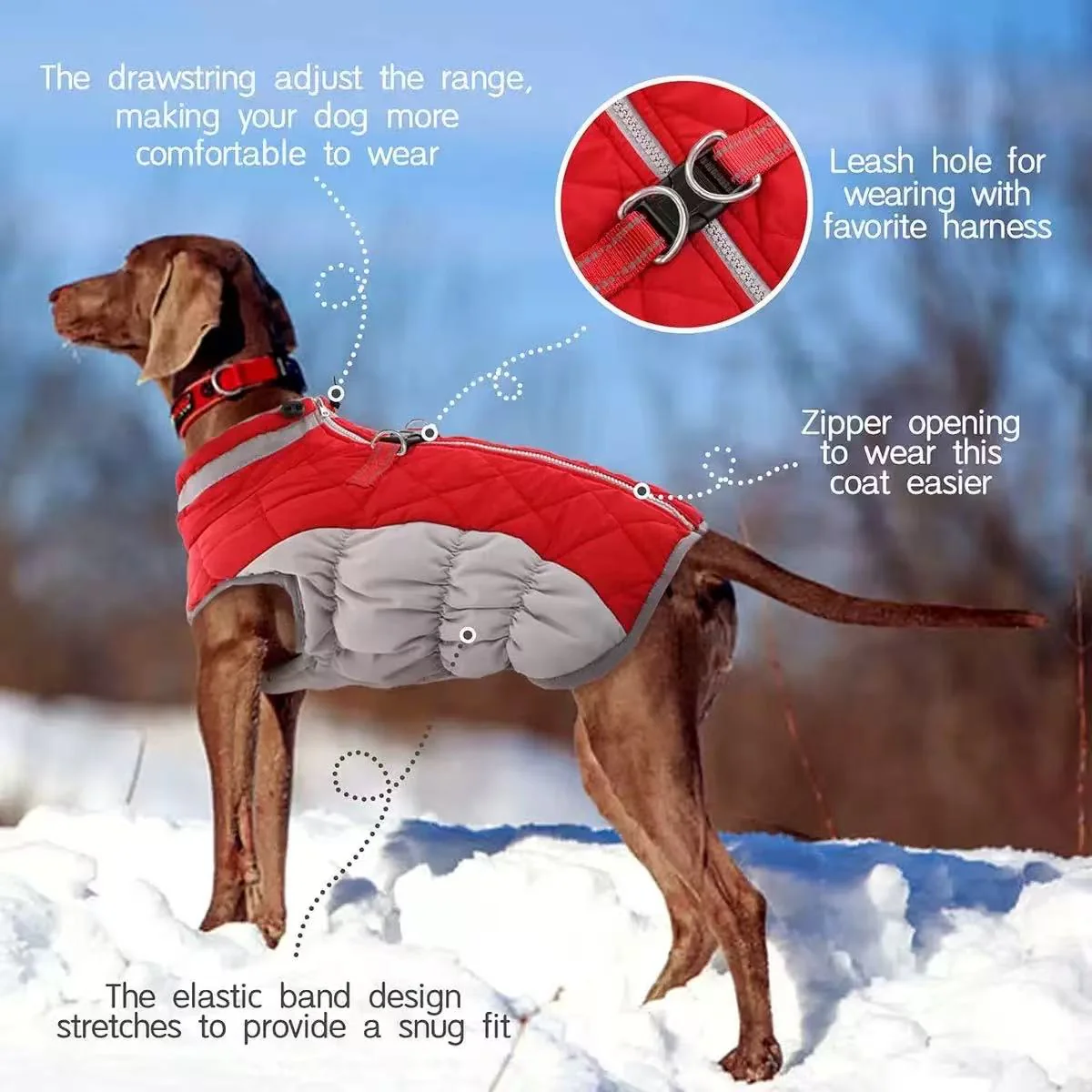 Dog Coat for Small Dogs,Waterproof Dog Winter Jacket with Harness Built in Puppy Cold Weather Coats Reflective Pet Vest with Zipper Warm Fleece Dogs Snowsuit Windproof(XL)