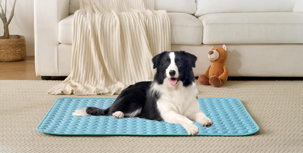 Summer Cooling Mat & Sleeping Pad- Water Absorption Top, Materials Safe, Easy Carry, EZ Clean. Keep Cooling for Pets, Kids and Adults (L-70*55cm)