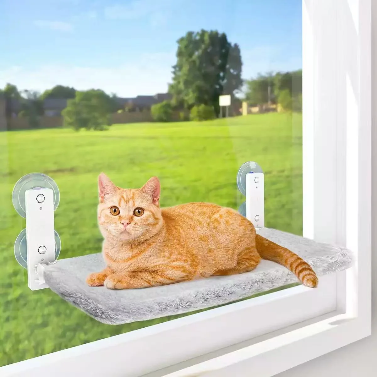 Cordless Cat Window Perch, Cat Hammock for Wall with 4 Suction Cups, Solid Metal Frame and Reversible Cover, Foldable Cat Beds for Indoor Cats (M-30*52cm)