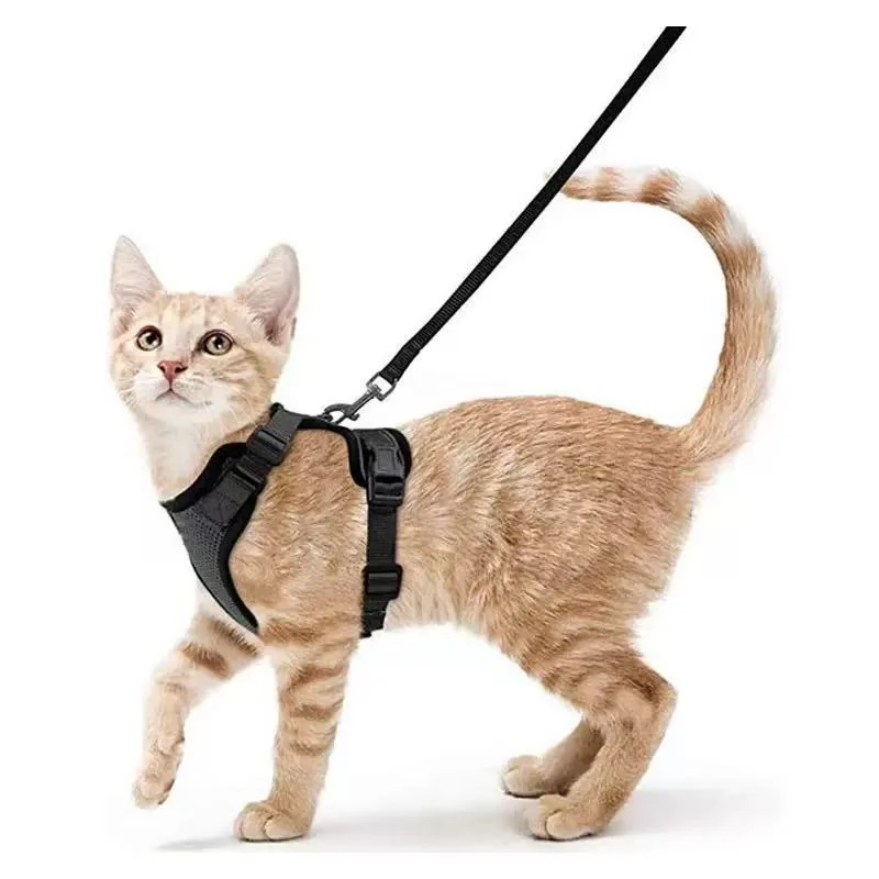 Cat Harness and Leash for Walking, Escape Proof Soft Adjustable Vest Harnesses for Cats, Easy Control Breathable Reflective Strips Jacket??XS??