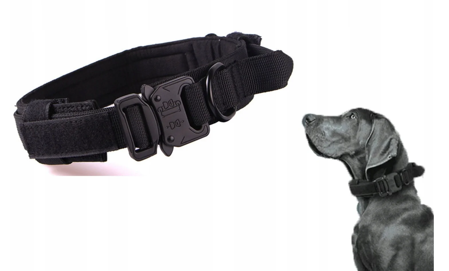 Extra-large training collar for large dogs (XL)
