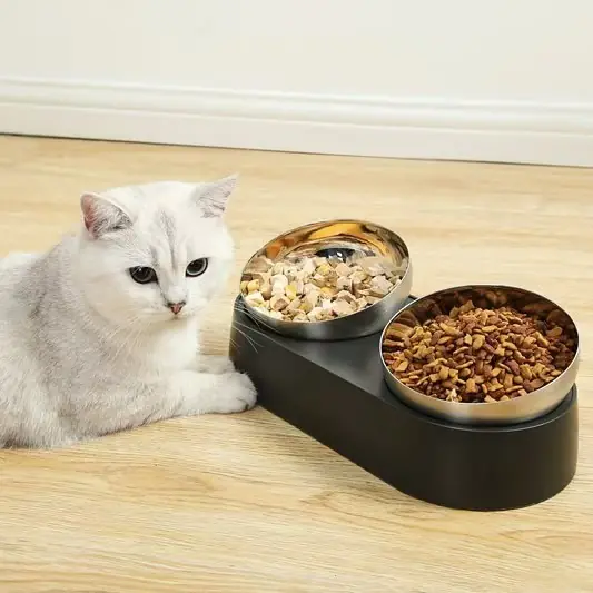 Stainless Steel Raised Bowl - Inclined Food and Feeding Bowls, Non-Slip, No Spill for Cats and Small Dogs