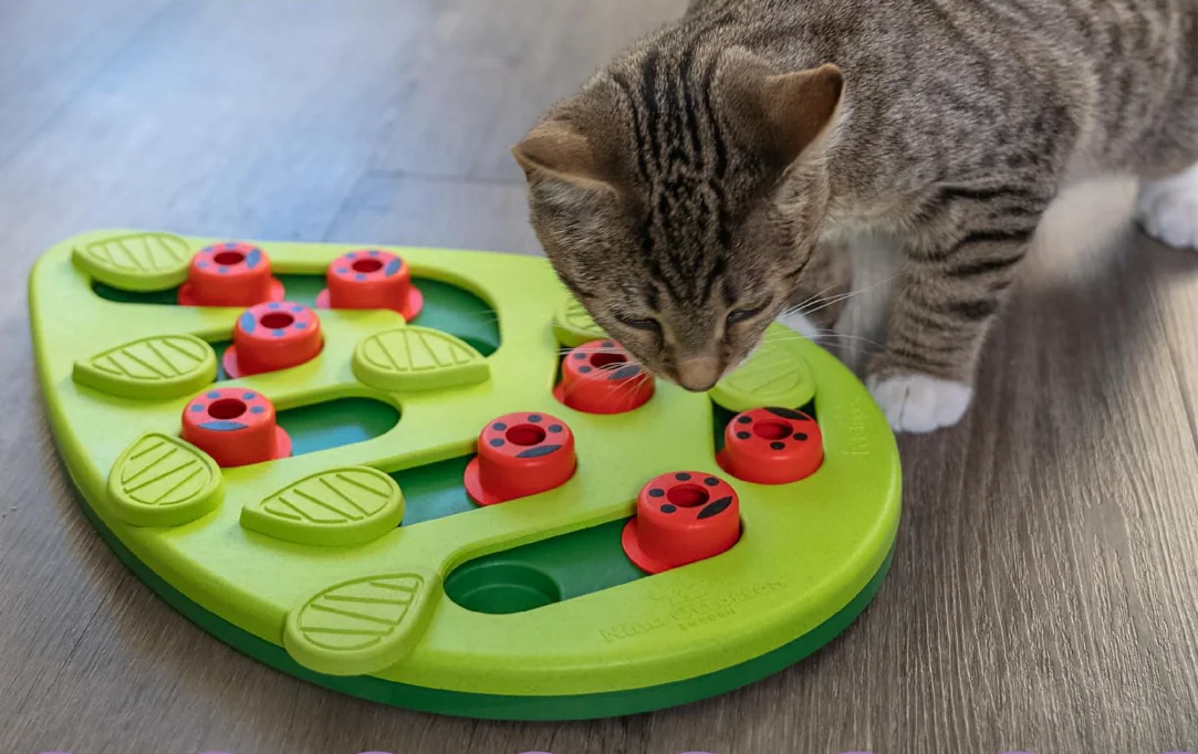 Interactive Treat Puzzle Feeder for Cats, 16 Hidden Treat Compartments Slow Feeder, Durable & Easy-Clean