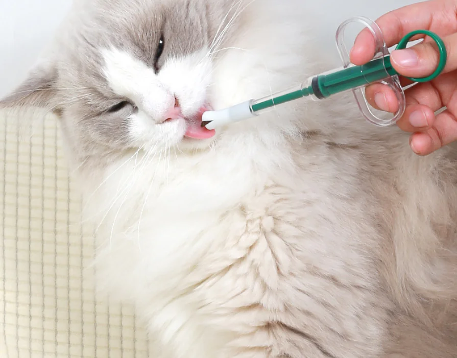 Cat Pill Shooter Pet Piller Gun Dog Pill Shooter Cat Tablet Soft Tip Syringe Pet Medical Feeding Dispenser Tool for Small Animal