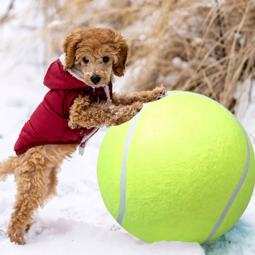 Large tennis ball, ideal for dogs to play on the beach, perfect for outdoor activities, and a great chew toy ball for pets,24cm