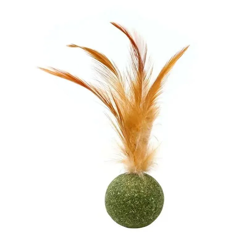 Catnip Feather Toy for Kittens ?C Interactive Chew Ball with Natural Ingredients | Edible Licking Cat Treat, Healthy Oral Care Teeth Cleaner, Stimulating Play Toy for Indoor Cats, Pet Enrichment