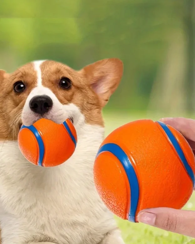 Bouncy, squeaky, and durable rubber ball toy for dogs, suitable for small and medium-sized dogs 5cm