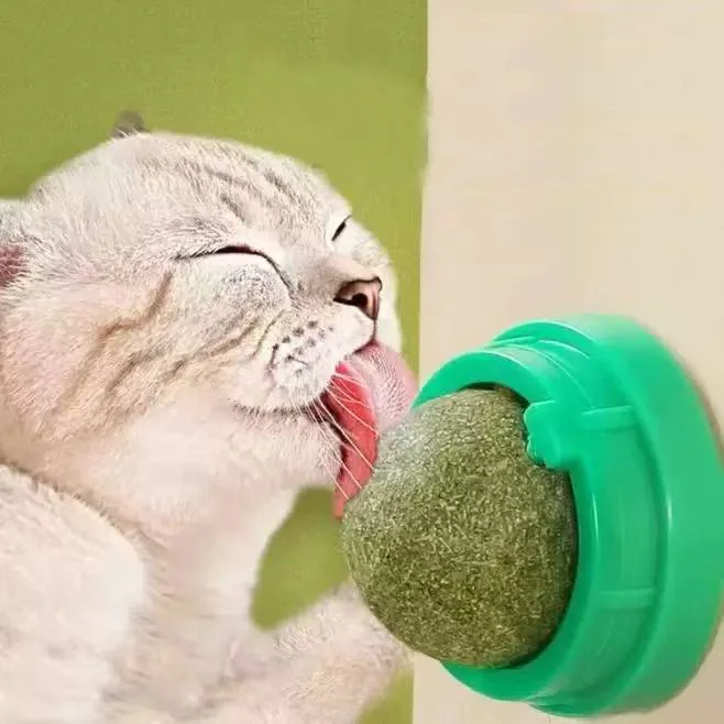 Catnip balls, extra energy balls for cats, edible kitten lick sticks, dental chew treats for cleaning teeth, suitable for all breeds 3pack